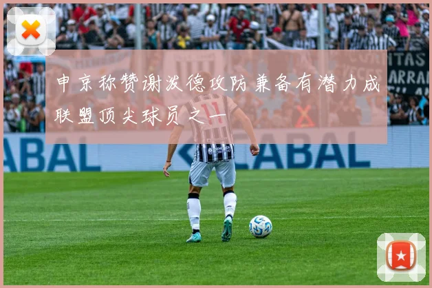 申京称赞谢泼德攻防兼备有潜力成联盟顶尖球员之一