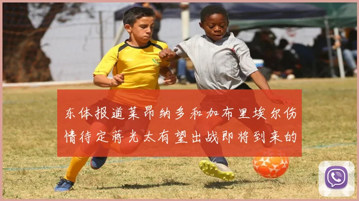 东体报道莱昂纳多和加布里埃尔伤情待定蒋光太有望出战即将到来的比赛