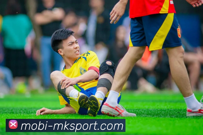 多媒体互动体验