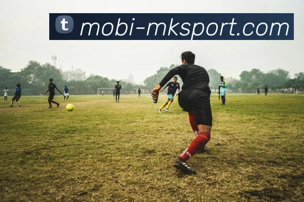 MK体育APP 体育赛事宣传图