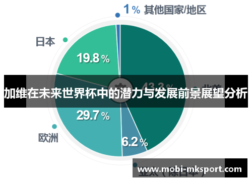 加维在未来世界杯中的潜力与发展前景展望分析