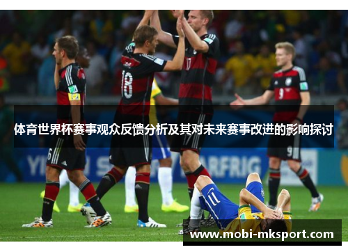 体育世界杯赛事观众反馈分析及其对未来赛事改进的影响探讨