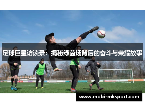 足球巨星访谈录：揭秘绿茵场背后的奋斗与荣耀故事
