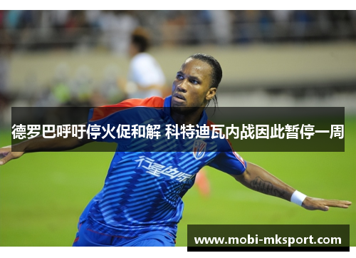德罗巴呼吁停火促和解 科特迪瓦内战因此暂停一周