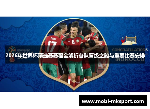 2026年世界杯预选赛赛程全解析各队晋级之路与重要比赛安排