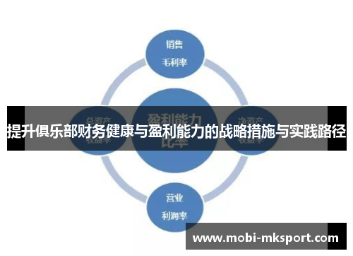 提升俱乐部财务健康与盈利能力的战略措施与实践路径