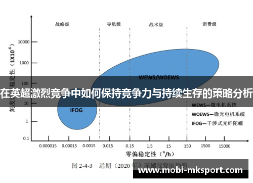 在英超激烈竞争中如何保持竞争力与持续生存的策略分析