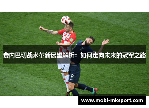 费内巴切战术革新展望解析：如何走向未来的冠军之路