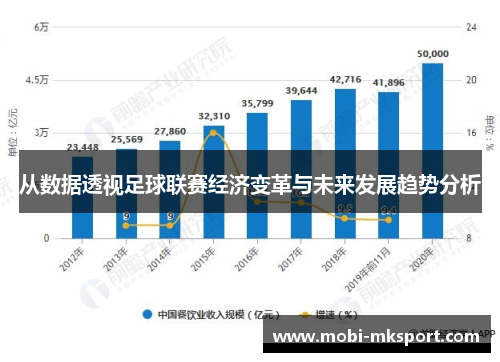 从数据透视足球联赛经济变革与未来发展趋势分析