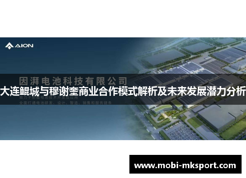 大连鲲城与穆谢奎商业合作模式解析及未来发展潜力分析