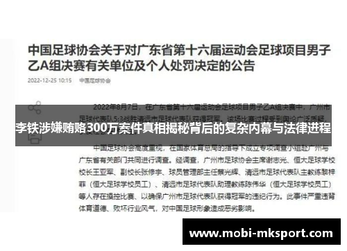 李铁涉嫌贿赂300万案件真相揭秘背后的复杂内幕与法律进程