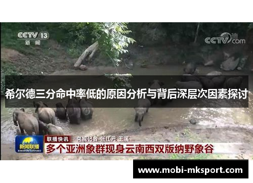 希尔德三分命中率低的原因分析与背后深层次因素探讨