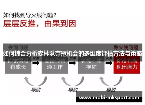 如何综合分析森林队夺冠机会的多维度评估方法与策略