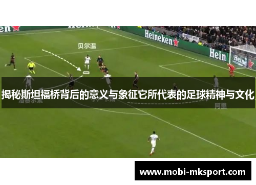 揭秘斯坦福桥背后的意义与象征它所代表的足球精神与文化