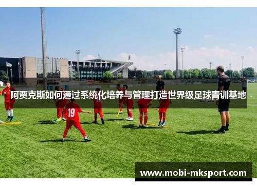 阿贾克斯如何通过系统化培养与管理打造世界级足球青训基地